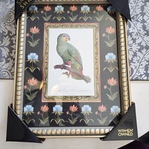 NWT 11 X 14 Sapna Shah Parrot Framed Wall Art.